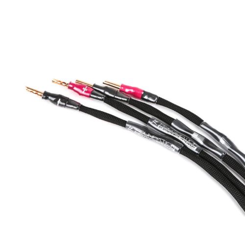 Foundation Speaker Cable