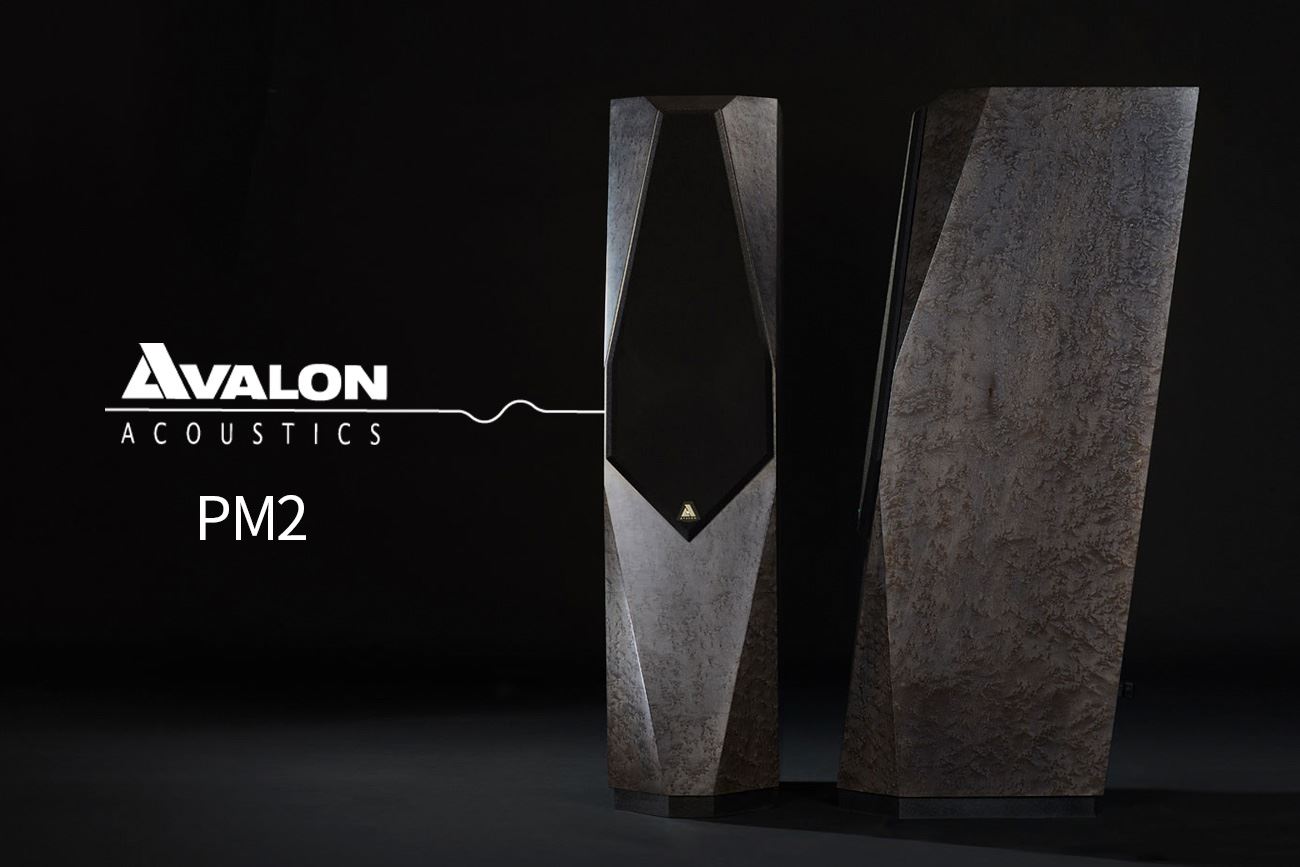 Avalon Acoustics(ƹ߷ ƽ) Precision Monitor 2 (PM2) Ŀ Ǹմϴ.
